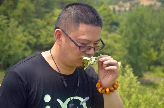 灸大夫捐贈價值300萬中醫(yī)艾灸設(shè)備，馳援河南災(zāi)后防疫！