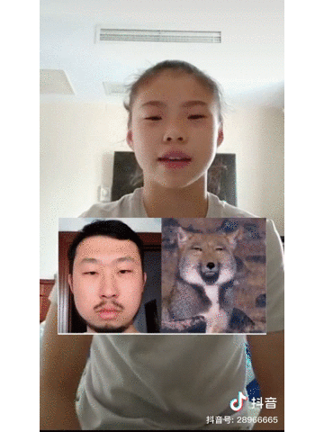 奧運冠軍好奇發(fā)問：火遍抖音的袋鼠搖到底是啥？現(xiàn)在，鑒定來了！