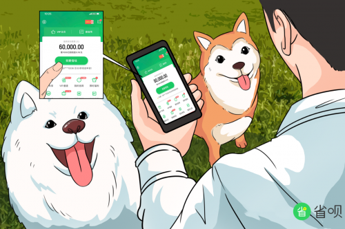 省唄：渡過資金鏈斷裂危機(jī)，一個(gè)犬舍老板的勵(lì)志追夢史