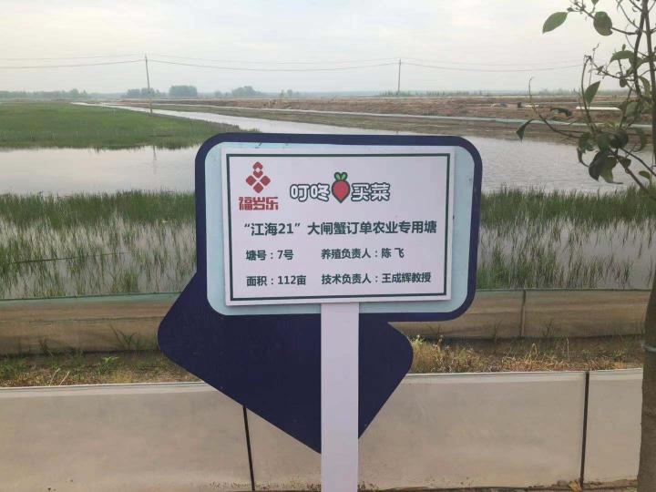 叮咚買菜二季度GMV增長(zhǎng)80.8% 發(fā)力農(nóng)業(yè)供給側(cè)助力鄉(xiāng)村振興
