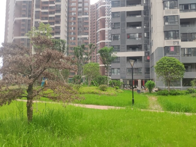 新星宇控股：人性化家居細(xì)節(jié)，盛放生活美好