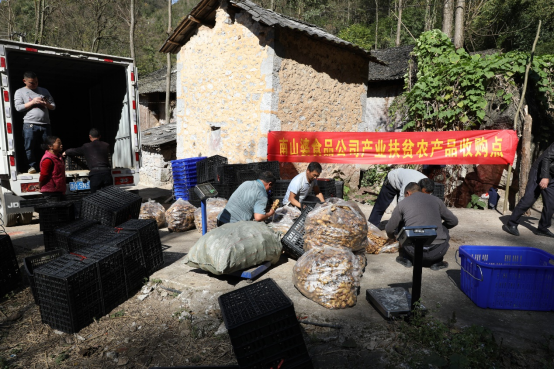 薇婭新華社強(qiáng)強(qiáng)聯(lián)手，助力南山婆成新一代貴州美食代表