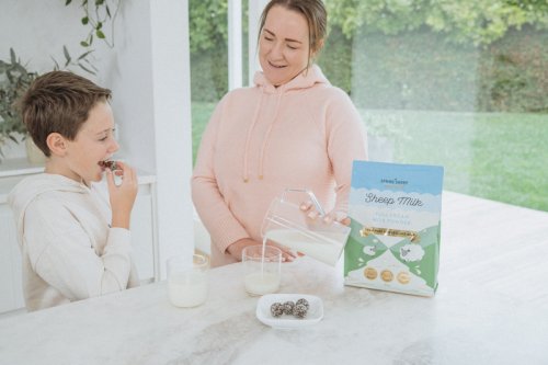 世界乳品新未來！Spring Sheep春綿乳業(yè)持續(xù)引領(lǐng)綿羊奶新格局！