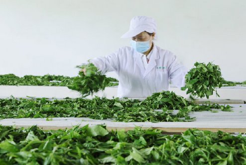 喜茶的“靈感之茶”又有新的突破了？