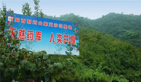 醫(yī)圣故里經典永駐 非遺技藝仲景傳承——仲景六味地黃丸的前世今生