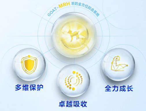 綿羊奶和山羊奶哪個更好？深度了解兩者有何不同