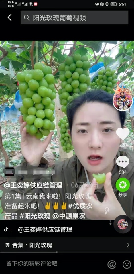 河南姑娘抖音電商創(chuàng)業(yè)賣水果，帶粉絲跑遍全國(guó)原產(chǎn)地