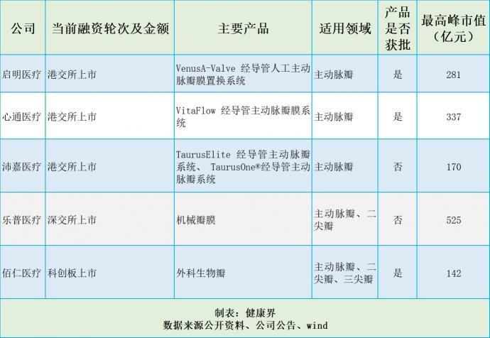 捍宇醫(yī)療“沖浪”TMVR黃金賽道，174億美元規(guī)模群雄逐鹿