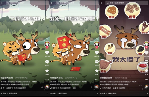 453萬人在抖音跟他學(xué)知識，靠科普動物保護登上學(xué)習(xí)強國
