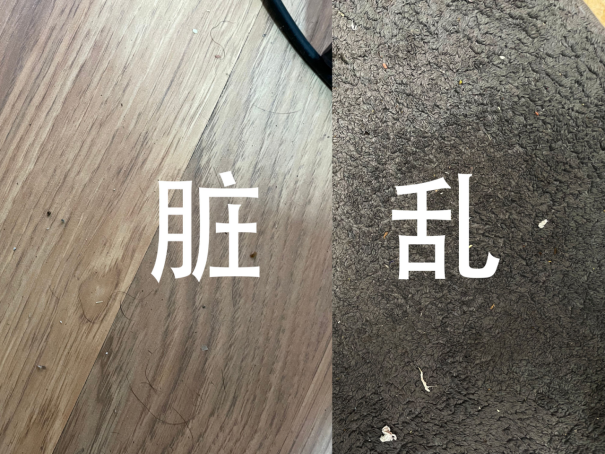 一文告訴你真懶人是怎么用掃地機的，Trifo Lucy Pet掃地機器人評測