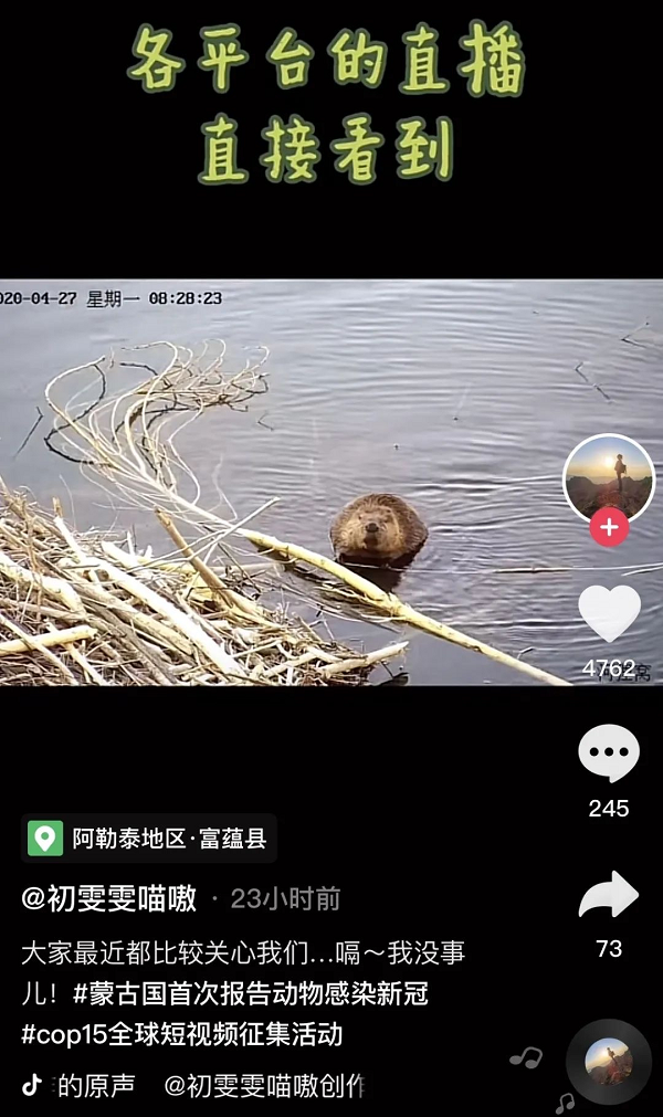 90后女孩大學(xué)畢業(yè)返鄉(xiāng)與野生動(dòng)物為伴，在抖音獲贊百萬(wàn)