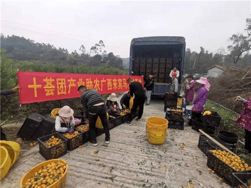 十薈團(tuán)承擔(dān)社區(qū)團(tuán)購企業(yè)責(zé)任，助力鄉(xiāng)村振興