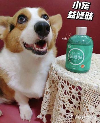 怕狗狗脫毛啦！我的小寵益修膚使用心得