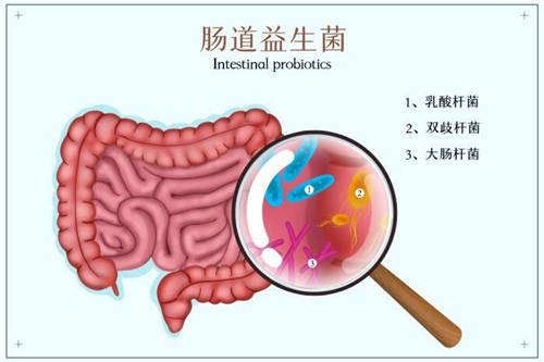 這么多益生菌品牌，選哪個牌子好