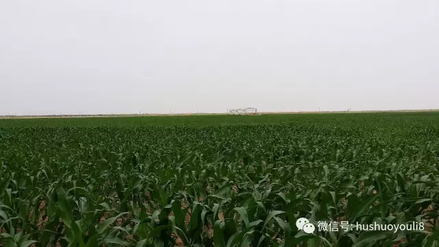 茫茫沙漠中，身價(jià)百億的他如釋重負(fù)！他特別提及，蒙?？偛帽R敏放是貴人！