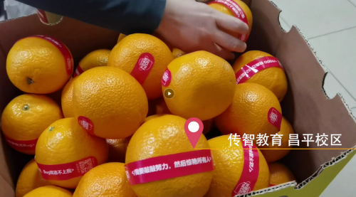 傳智教育1024程序員節(jié)，全國各校區(qū)“橙心誠意”邀你一起嗨