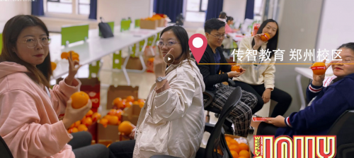 傳智教育1024程序員節(jié)，全國各校區(qū)“橙心誠意”邀你一起嗨