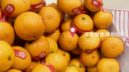傳智教育1024程序員節(jié)，全國各校區(qū)“橙心誠意”邀你一起嗨
