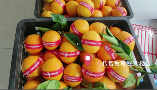 傳智教育1024程序員節(jié)，全國各校區(qū)“橙心誠意”邀你一起嗨