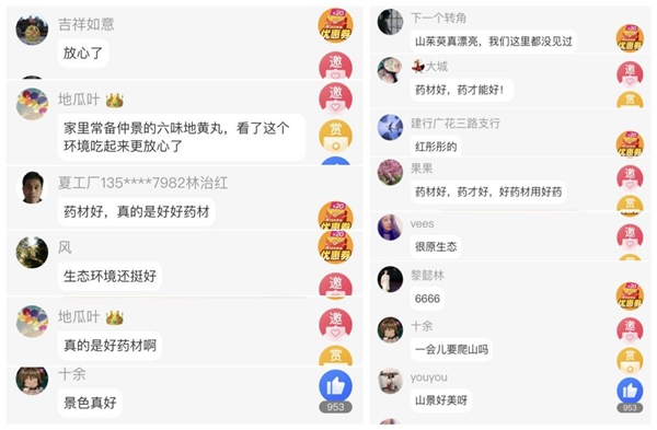 攜手齊魯頻道、同方藥業(yè)，仲景宛西制藥開(kāi)啟醫(yī)圣故里山茱萸好藥之旅