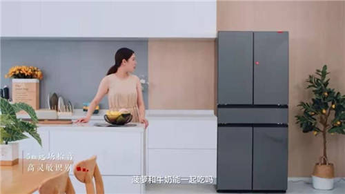 為何海爾智家Leader冰箱再迎新增長？顏值、實力必不可少！