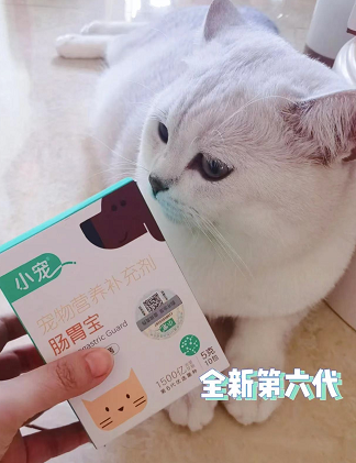 全新第六代小寵腸胃寶來了 為主子雙11囤起來！