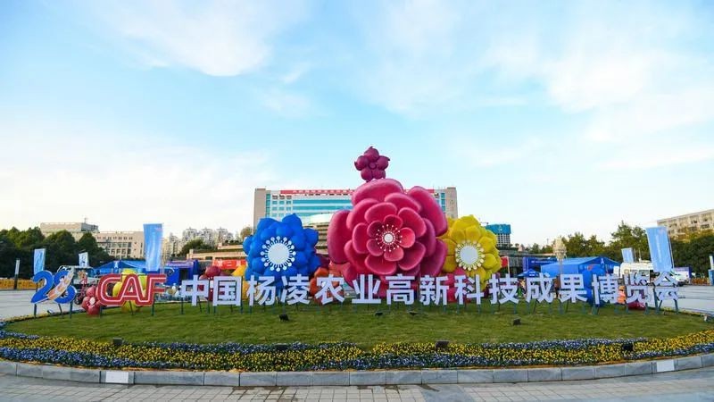 秦龍乳業(yè)一生一養(yǎng)在第28屆中國(guó)楊凌農(nóng)高會(huì)斬獲“后稷特別獎(jiǎng)”