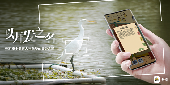 《共棲》開(kāi)發(fā)者：在游戲中探索人與鳥(niǎo)類的共處之道