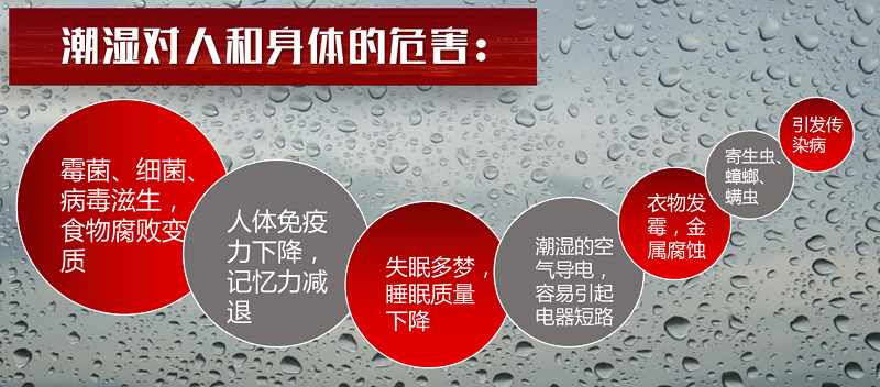 家用除濕機(jī)哪個品牌值得買？哪個型號性價比高？