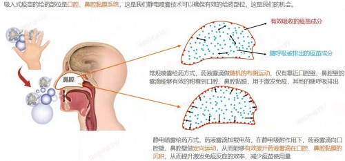 突破！我國云協(xié)同研發(fā)平臺發(fā)布“吸入式疫苗靶向給藥裝置”