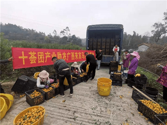 十薈團積極發(fā)揮社區(qū)團購作用，開啟鄉(xiāng)村振興新方向