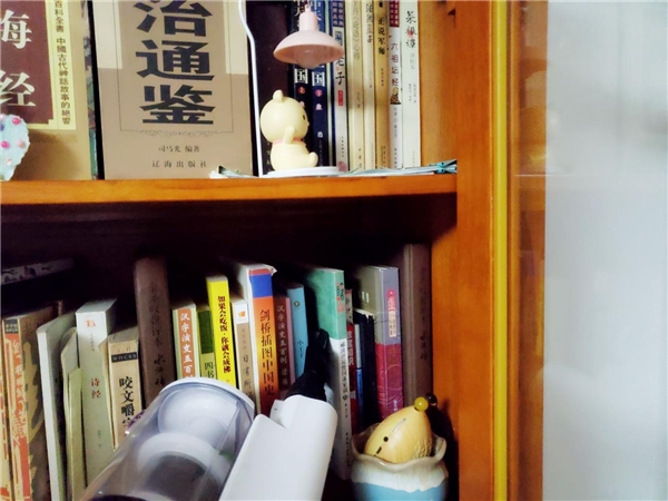 無線吸塵器什么牌子好？分享一款綜合實(shí)力不俗的明星產(chǎn)品