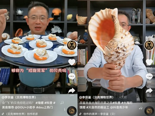 揭秘貝類的前世今生，他在抖音為65萬人開“貝殼博物館”