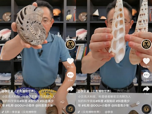揭秘貝類的前世今生，他在抖音為65萬人開“貝殼博物館”