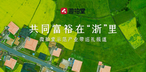 他在微拍堂加工“飛來(lái)的財(cái)富” 家門口創(chuàng)業(yè)年入百萬(wàn)