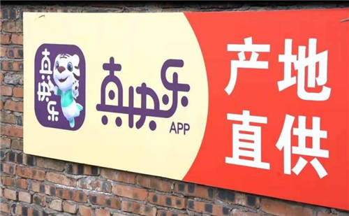 奉上“橙”意 上“真快樂(lè)”APP 1元嘗鮮奉節(jié)臍橙