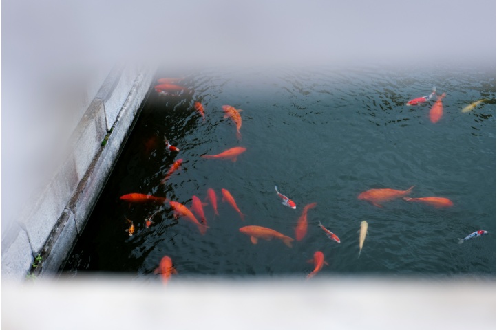 當(dāng)松下S5邂逅故宮，這次拍點(diǎn)不一樣的