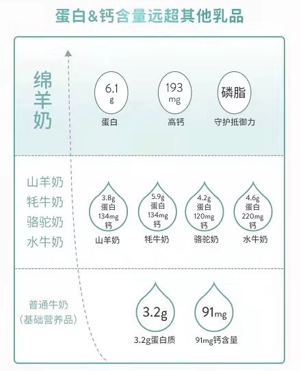 Spring Sheep?春綿?榮獲農(nóng)牧企業(yè)最快增長Top1，高端綿羊奶引領(lǐng)世界乳品新未來！