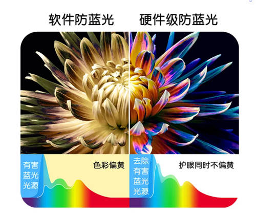 評測：戴爾靈越16 Plus，11代i7處理器如何駕馭無限生產(chǎn)力