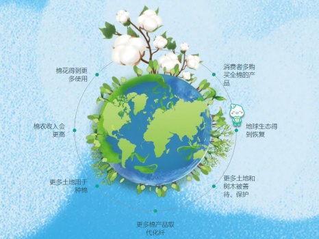 榮獲兩項年度大獎！全棉時代2021可持續(xù)發(fā)展“成績單”獲贊