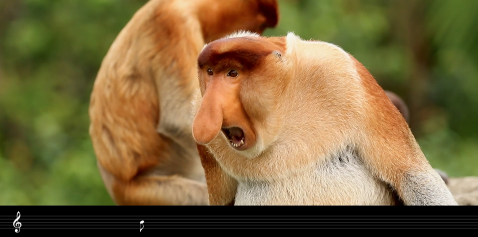 保護(hù)生物多樣性，聚劃算奏響命運(yùn)共同體最強(qiáng)音