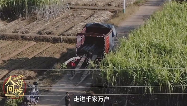 叮咚買菜“青山綠水”計劃助力鄉(xiāng)村振興，蔗農(nóng)林小根忙碌且幸福