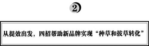 拆解280個(gè)新品牌后，我們發(fā)現(xiàn)了可復(fù)制的四招突圍