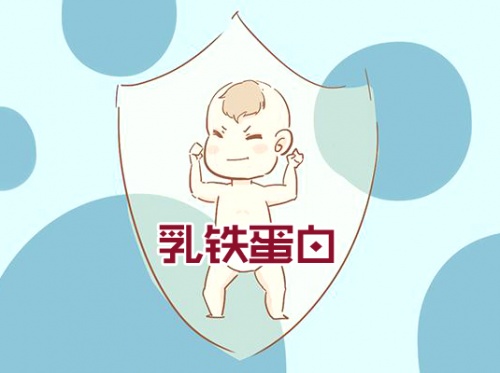 ?乳鐵蛋白奶粉哪個(gè)品牌好？這款荷蘭奶粉受到“皇家”認(rèn)可！