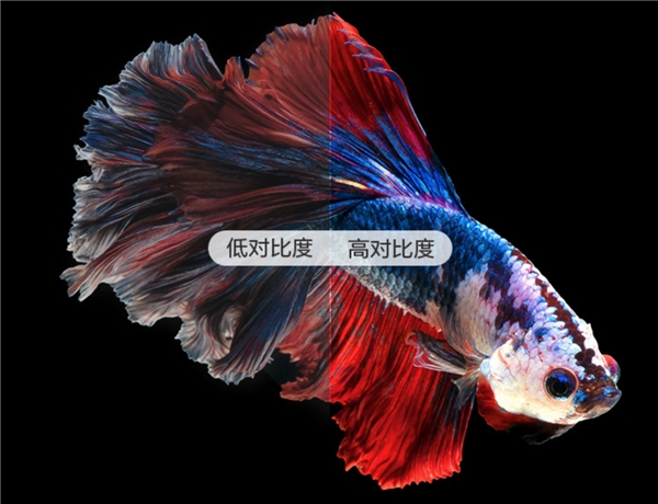 家用投影儀怎么選？奶爸告訴你答案