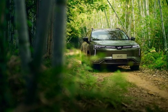 威馬汽車W6——OTA升級(jí)把用戶體驗(yàn)拉滿格