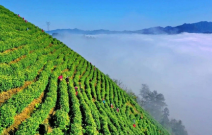 度假到丹寨，體驗古香古色的民族風(fēng)情，與丹寨人民共度佳節(jié)