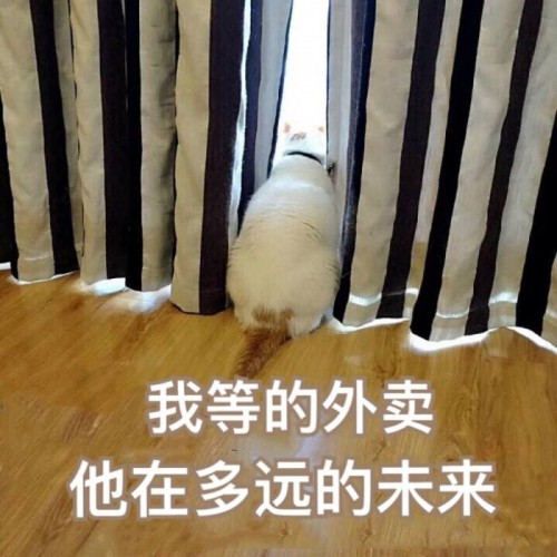 卓思：懶人經(jīng)濟(jì)下，專業(yè)上門服務(wù)如何尋找最優(yōu)路徑