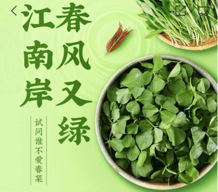 折耳根葉、蠶豆、馬蘭頭.......叮咚買菜推出特色春菜及系列預(yù)制菜