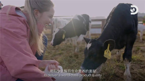 Discovery頻道走進(jìn)中國(guó)乳企，探秘中國(guó)奶粉未來(lái)力量